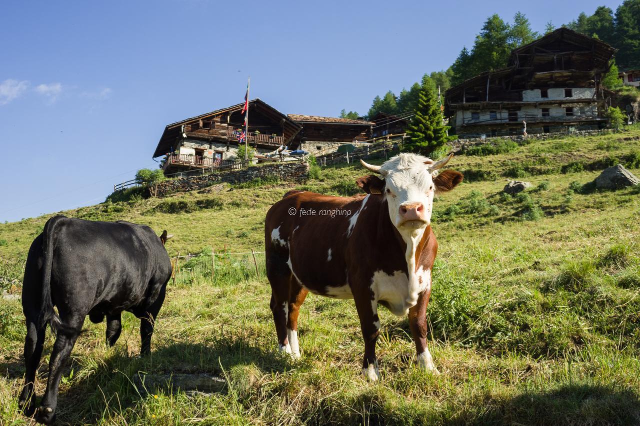 Hotel Rifugio Guide Frachey Saint Jacques Exterior foto